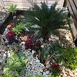 Nikitas Konia